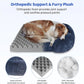 Soft Dog Sofa Bed