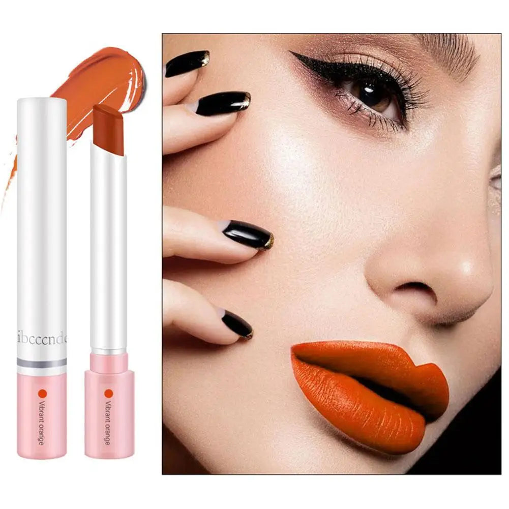 4 Colors Cigarette Lipstick Set Matte Lip Gloss Long Lasting Lip Glaze Waterproof Lip Stick Tube Nude Lip Tint Makeup Cosmetics