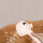 Pet Clean Steam Spray Dog Grooming Brush Unique Steam Brush For Dogs Luxury Grooming Brush Dog Steam Brush C